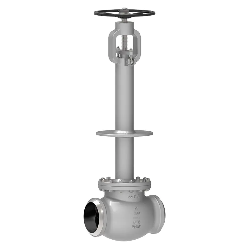 Cryogenic Globe Valve