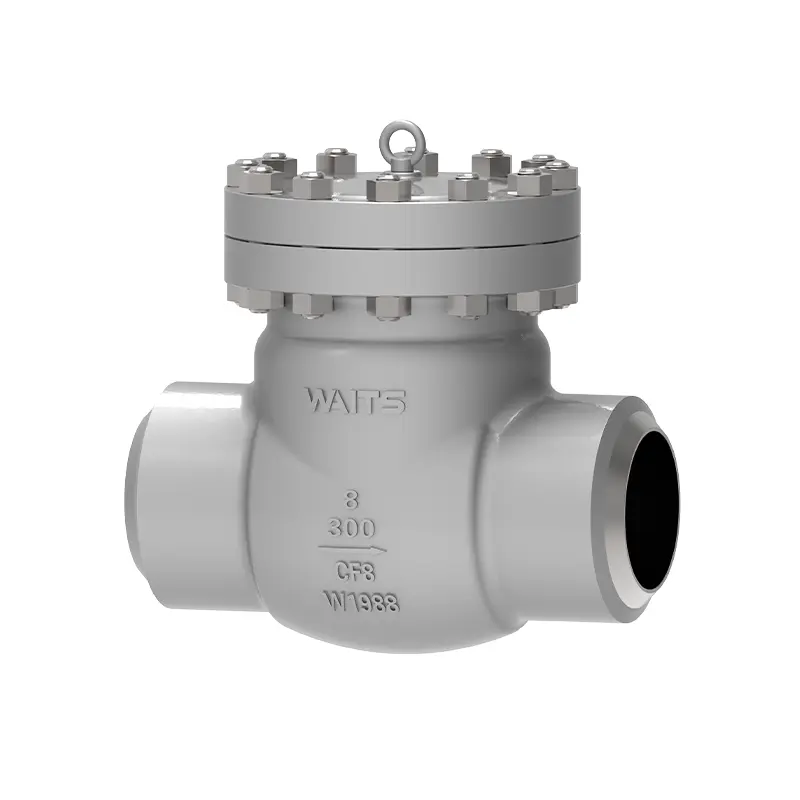 Cryogenic Swing Check Valve Cryogenic Swing Check Valve