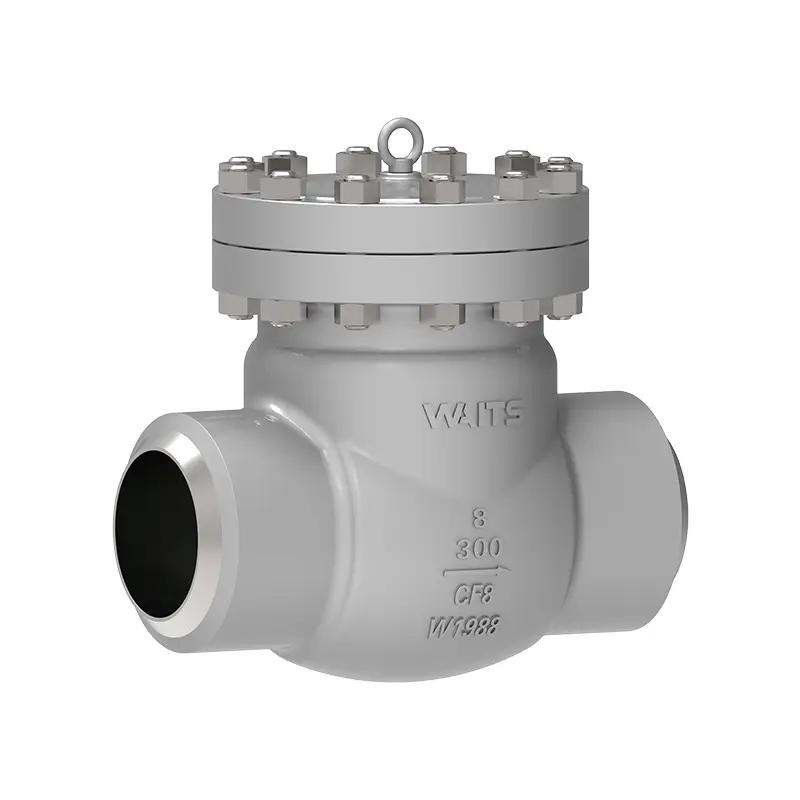Cryogenic Swing Check Valve