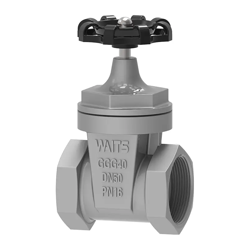 npt resilient inaced Gate Valve‌